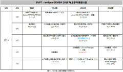 法国里昂商学院EMBA-2019上半年课表